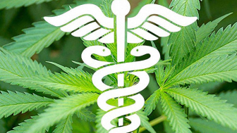 Carta abierta (actualizada) a favor de una planta