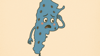 Desparasitar la economía Argentina